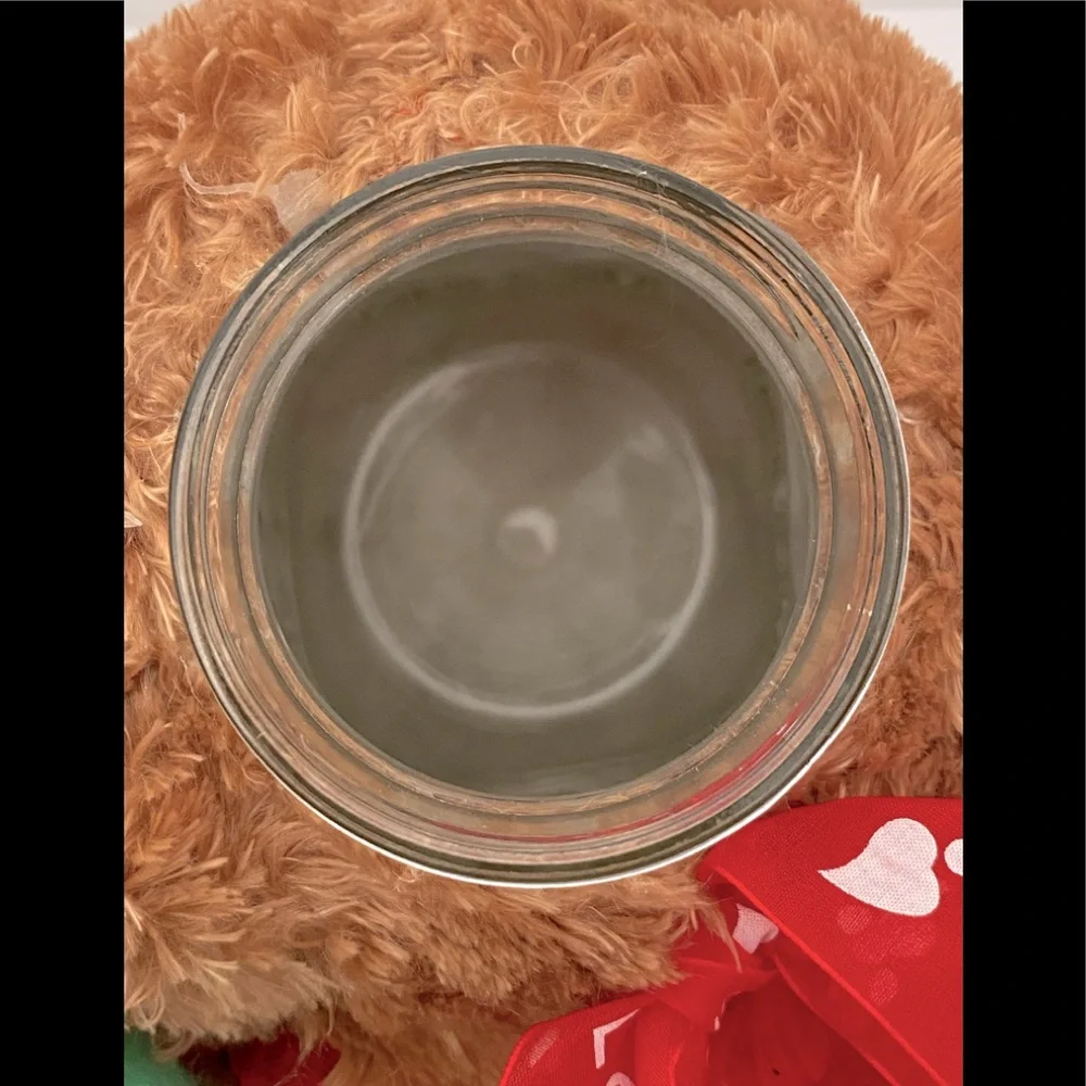 Teddy Bear with Secret Hidden Jar